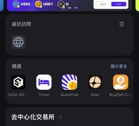 從「想翻身」到「翻車」：解析「SafePal」平台如何精準收割底層勞工