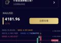 數位時代的集體課：我們能從「Evoex」平台事件中學到什麼？