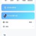 追蹤！「CHAN」平台背後的科技黑產