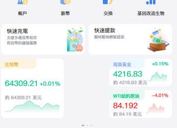 監管空窗期的產物？「BitFinex」平台跨境營運的潛在法規風險