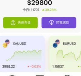 被高投報沖昏頭的代價：我把給父母的醫療準備金丟進了「FXGT」